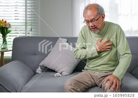 Heart attack symptoms, Senior heart attack suffering indoor 103995828