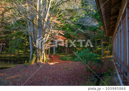 雲洞庵　本堂からの風景　紅葉の季節　新潟県南魚沼市　　 103995868
