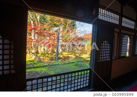 雲洞庵 本堂からの風景 紅葉 新潟県南魚沼市 雲洞庵 本堂からの風景 紅葉 新潟県南魚沼市 103995899