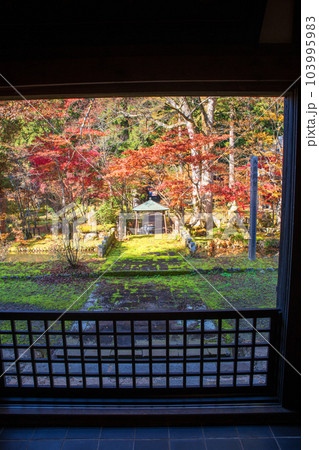 雲洞庵　本堂からの風景　紅葉　新潟県南魚沼市　　 103995983