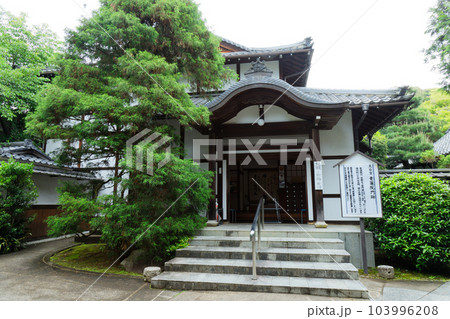 青蓮院　門　若葉に新緑 103996208