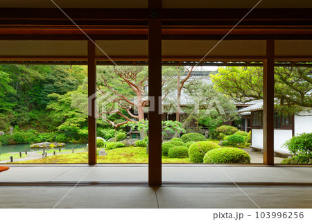青蓮院　庭園　若葉に新緑 103996256