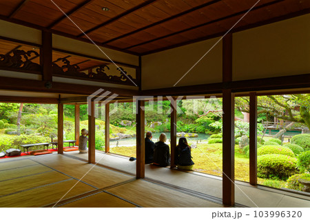 青蓮院　庭園　若葉に新緑 103996320