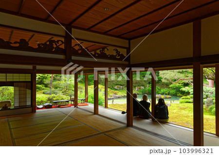 青蓮院 庭園 若葉に新緑 青蓮院 庭園 若葉に新緑 103996321