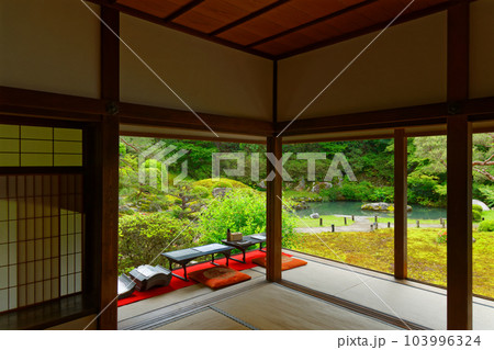 青蓮院　庭園　若葉に新緑 103996324