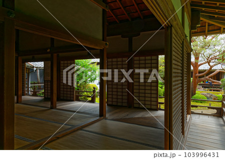 青蓮院　庭園　若葉に新緑 103996431