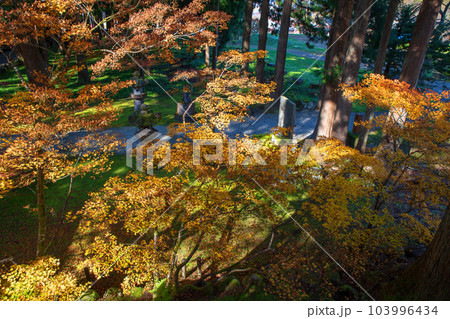 雲洞庵　客殿からの眺め　秋景色　新潟県南魚沼市　　 103996434