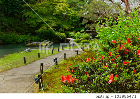青蓮院 庭園 若葉に新緑 青蓮院 庭園 若葉に新緑 103996471
