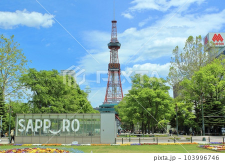 札幌大通り公園とテレビ塔 103996746