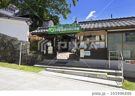 つやま自然のふしぎ館（岡山県津山市） 103996886