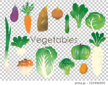 Watercolor style vegetable illustration set 103996895