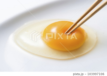 生卵 生卵 103997106