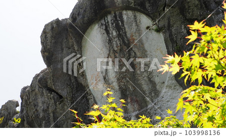 岐阜県大垣市 岩巣公園 岐阜県大垣市 岩巣公園 103998136