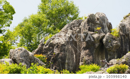 岐阜県大垣市 岩巣公園 岐阜県大垣市 岩巣公園 103998140