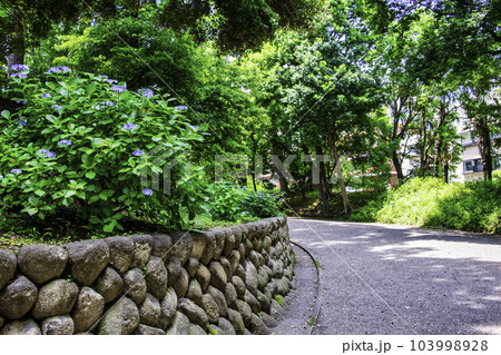 東京都　旧岩崎邸庭園　正門の馬車道 103998928
