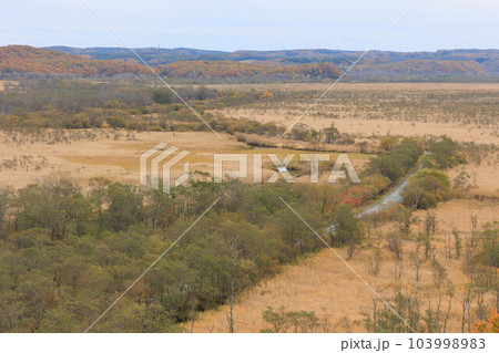 コッタロ湿原展望台「秋の北海道」 103998983