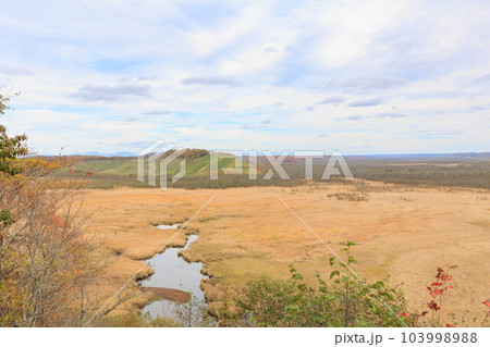コッタロ湿原展望台「秋の北海道」 コッタロ湿原展望台「秋の北海道」 103998988