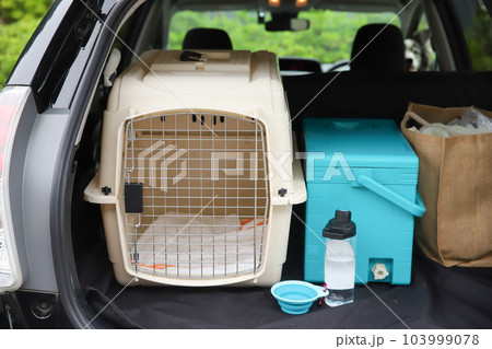 車のトランクに乗っている犬用ケージとクーラーボックス 車のトランクに乗っている犬用ケージとクーラーボックス 103999078