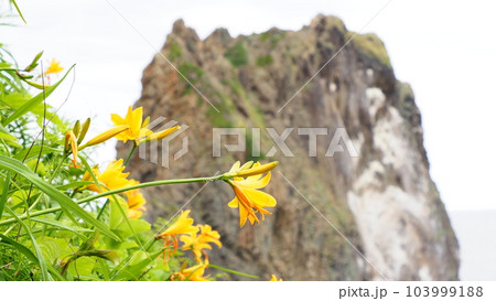 北海道 積丹 島武意海岸 103999188