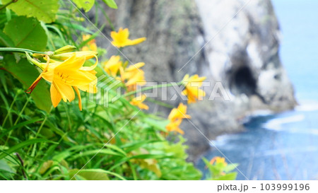 北海道 積丹 島武意海岸 103999196