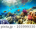 サンゴ礁の海　熱帯魚　水中写真風イラスト 103999330