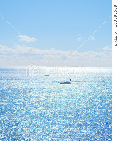 陽を浴びてキラキラとした海 103999509