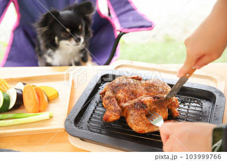 犬の目を気にせず大きな肉を切り分けているところ 犬の目を気にせず大きな肉を切り分けているところ 103999766