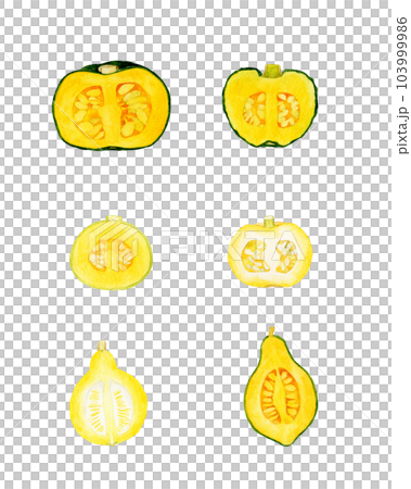 A set of edible pumpkins cut in half Summer vegetables hand-drawn watercolor illustration material collection A set of edible pumpkins cut in half Summer vegetables hand-drawn watercolor illustration material collection 103999986