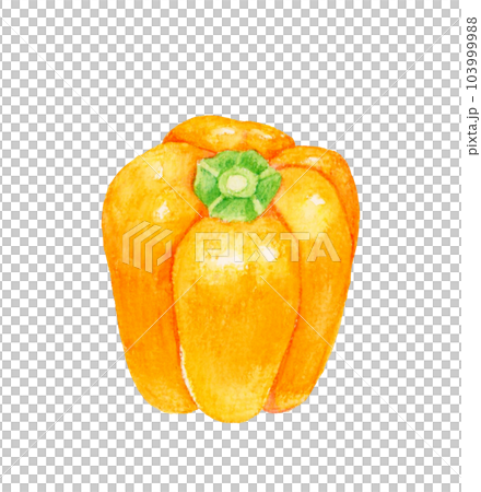 Orange paprika Hand-painted watercolor illustration material of summer vegetables Orange paprika Hand-painted watercolor illustration material of summer vegetables 103999988