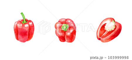 赤色のパプリカのセット　夏野菜の手描き水彩イラスト素材集 103999998