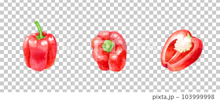 Set of red paprika Summer vegetable hand-painted watercolor illustration material collection 103999998