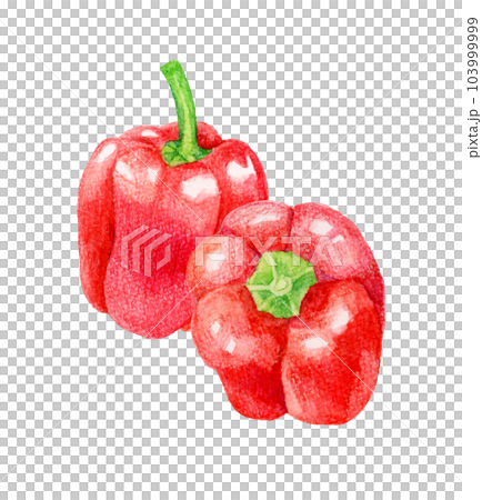 Red paprika hand-painted watercolor illustration material of summer vegetables 103999999