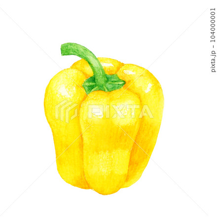 黄色のパプリカ 夏野菜の手描き水彩イラスト素材 黄色のパプリカ 夏野菜の手描き水彩イラスト素材 104000001