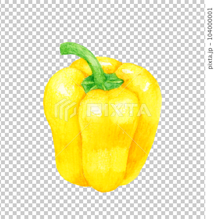 黄色のパプリカ 夏野菜の手描き水彩イラスト素材 黄色のパプリカ 夏野菜の手描き水彩イラスト素材 104000001