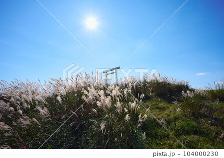 入道ヶ岳 入道ヶ岳 104000230