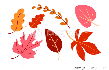Autumn leaves set. Simple cartoon flat style. Design for stickers, logo, web and mobile app. 104000277