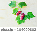 岩見沢市・家庭菜園 104000802