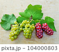岩見沢市・家庭菜園 104000803