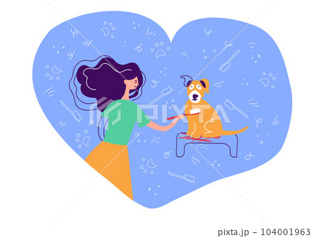 The girl brushes the dog's teeth. Oral hygiene for dogs of all breeds. Dog dental visuals. Dental care images. Gum disease prevention. Dental care. Raising awareness of oral hygiene for dogs 104001963
