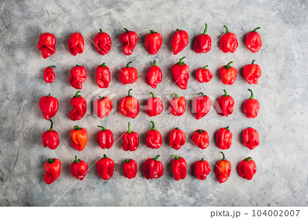 Rows of Red Habanero Peppers on Concrete Background 104002007