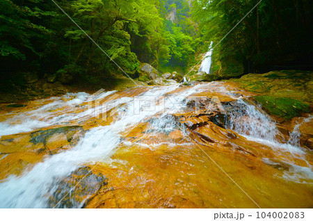 笹の滝と下流の渓谷(奈良県十津川村) 笹の滝と下流の渓谷(奈良県十津川村) 104002083
