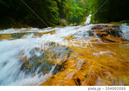 笹の滝と下流の渓谷(奈良県十津川村) 笹の滝と下流の渓谷(奈良県十津川村) 104002088