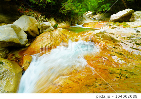 笹の滝下流の渓谷(奈良県十津川村) 笹の滝下流の渓谷(奈良県十津川村) 104002089