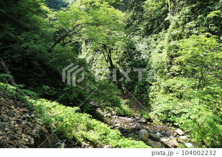 シワガラの滝(兵庫県指定名勝) への道中 / 小又川渓谷【兵庫県新温泉町海上・山陰海岸ジオパーク】 シワガラの滝(兵庫県指定名勝) への道中 / 小又川渓谷【兵庫県新温泉町海上・山陰海岸ジオパーク】 104002232