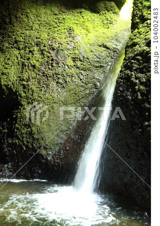 シワガラの滝（兵庫県指定名勝）／ 小又川渓谷【兵庫県新温泉町海上・山陰海岸ジオパーク】 104002483