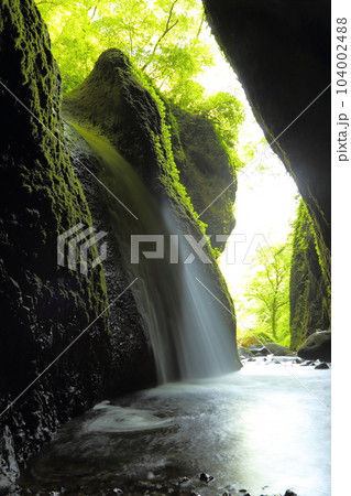 シワガラの滝(兵庫県指定名勝)/ 小又川渓谷【兵庫県新温泉町海上・山陰海岸ジオパーク】 シワガラの滝(兵庫県指定名勝)/ 小又川渓谷【兵庫県新温泉町海上・山陰海岸ジオパーク】 104002488