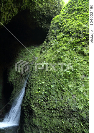 シワガラの滝（兵庫県指定名勝）／ 小又川渓谷【兵庫県新温泉町海上・山陰海岸ジオパーク】 104002496
