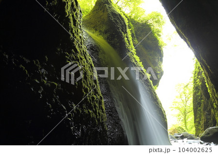 シワガラの滝（兵庫県指定名勝）／ 小又川渓谷【兵庫県新温泉町海上・山陰海岸ジオパーク】 104002625