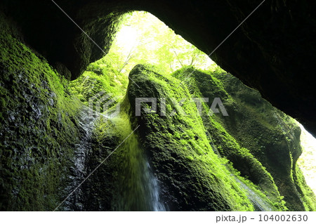 シワガラの滝（兵庫県指定名勝）／ 小又川渓谷【兵庫県新温泉町海上・山陰海岸ジオパーク】 104002630