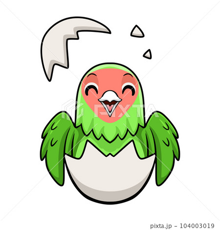 Cute peach faced love bird cartoon inside from egg 104003019